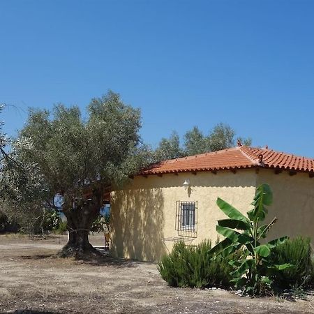 House By The Sea At Skaloma, Loutraki Villa Lake Vouliagmeni Luaran gambar
