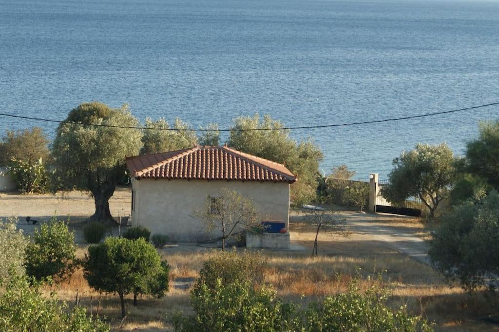 House By The Sea At Skaloma, Loutraki Villa Lake Vouliagmeni Luaran gambar