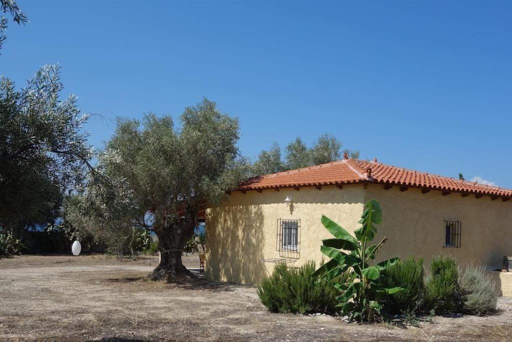 House By The Sea At Skaloma, Loutraki Villa Lake Vouliagmeni Luaran gambar